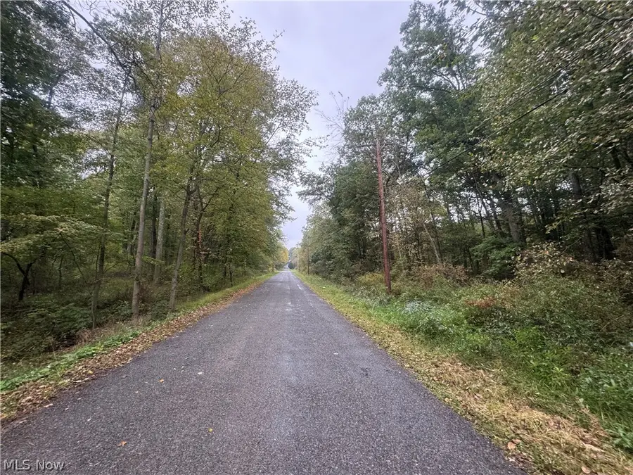 48250 Dyke Road, Negley, OH 44441 - #3