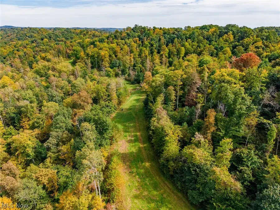 Lew Marten Road, Summerfield, OH 43788 - #2