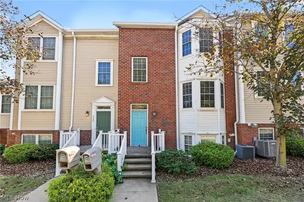 343 N Mantua Street, Kent, OH 44240