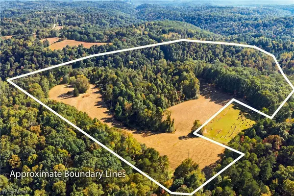 202 Mount Carmel Rd, Walker, WV 26180
