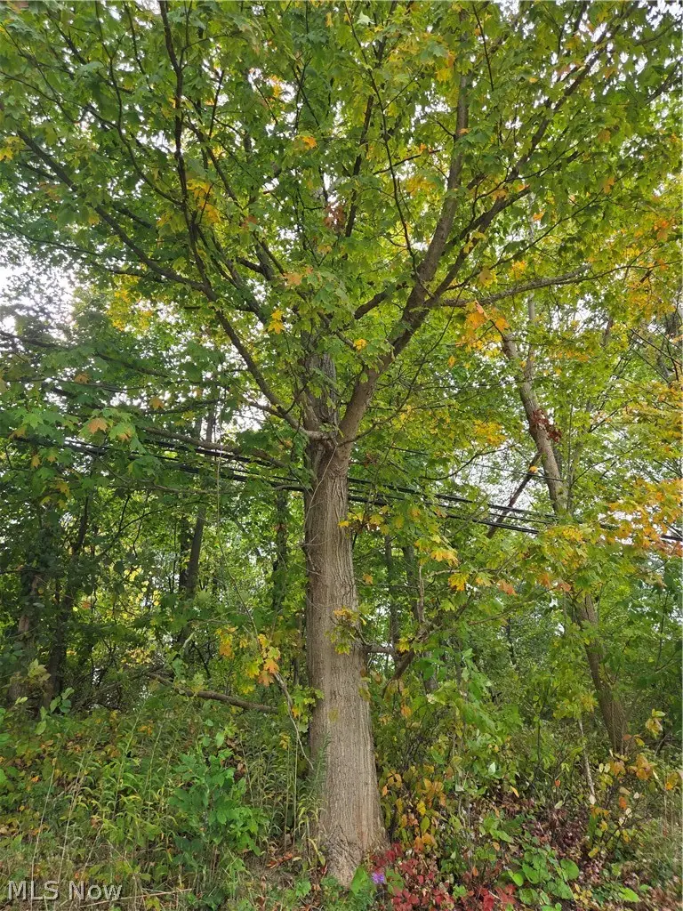 Gar Highway, Montville, OH 44064 - #1