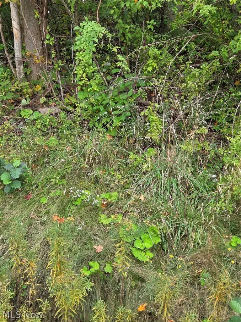 Gar Highway, Montville, OH 44064 - #3