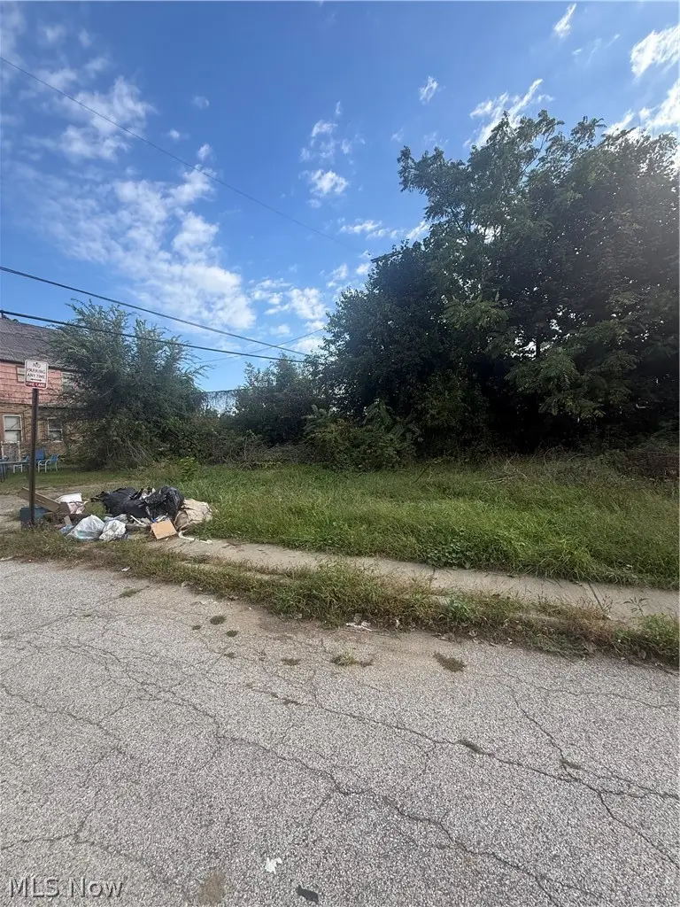 2103 E 81st Street, Cleveland, OH 44103 - #1