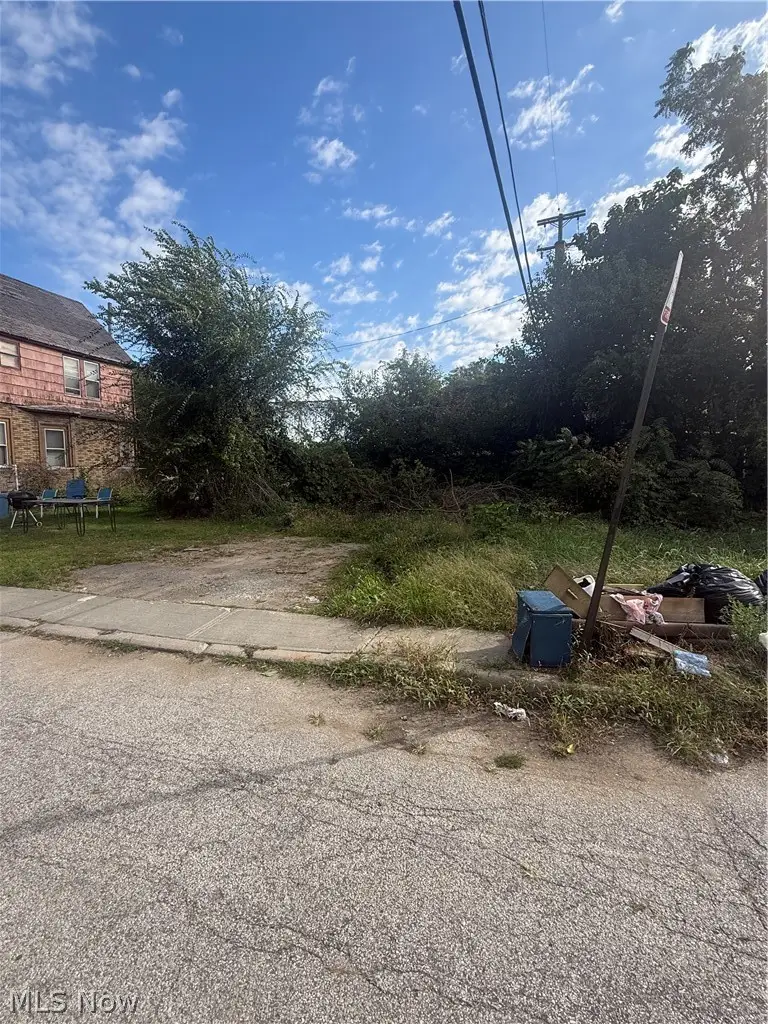 2103 E 81st Street, Cleveland, OH 44103 - #2