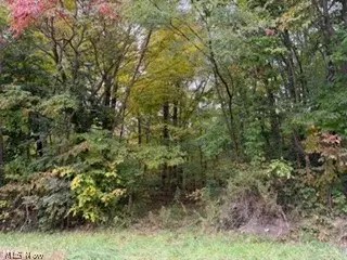 37806 Butcher Road, Leetonia, OH 44431 - #2