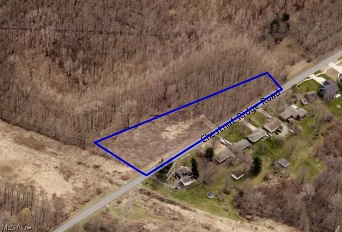 V/L Chestnut Ridge Road, North Ridgeville, OH 44039 - #1