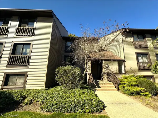 1105 Canyon View Road, Sagamore Hills, OH 44067