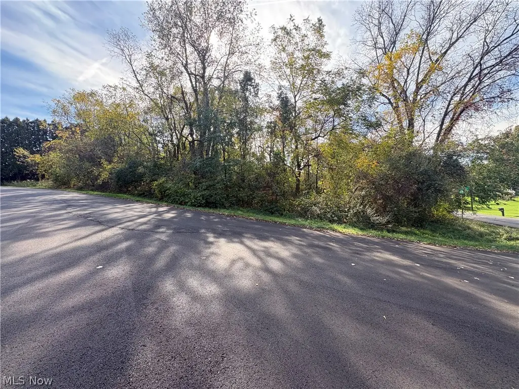 Sherylton Hills Drive, Uniontown, OH 44685 - #1