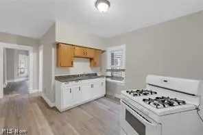 13201 Southview Avenue, Cleveland, OH 44120 - #2