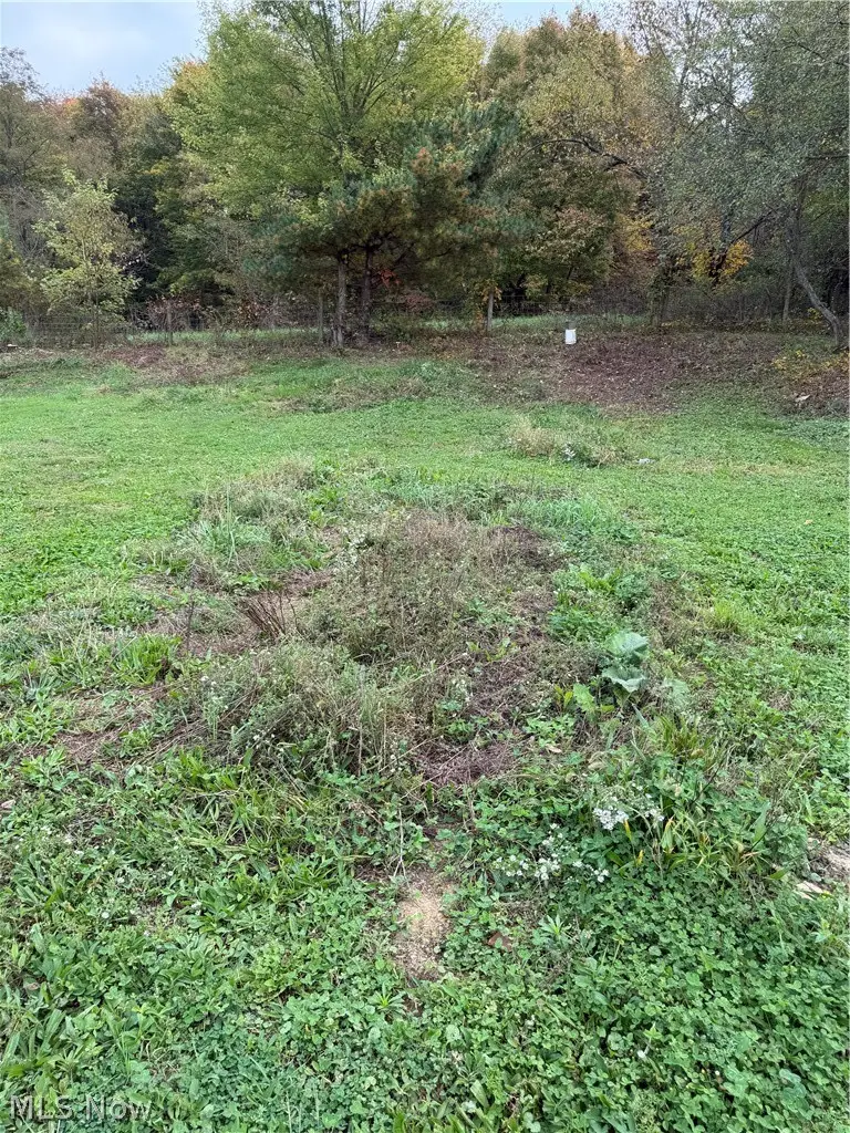 21050 County Road 151, West Lafayette, OH 43845 - #3