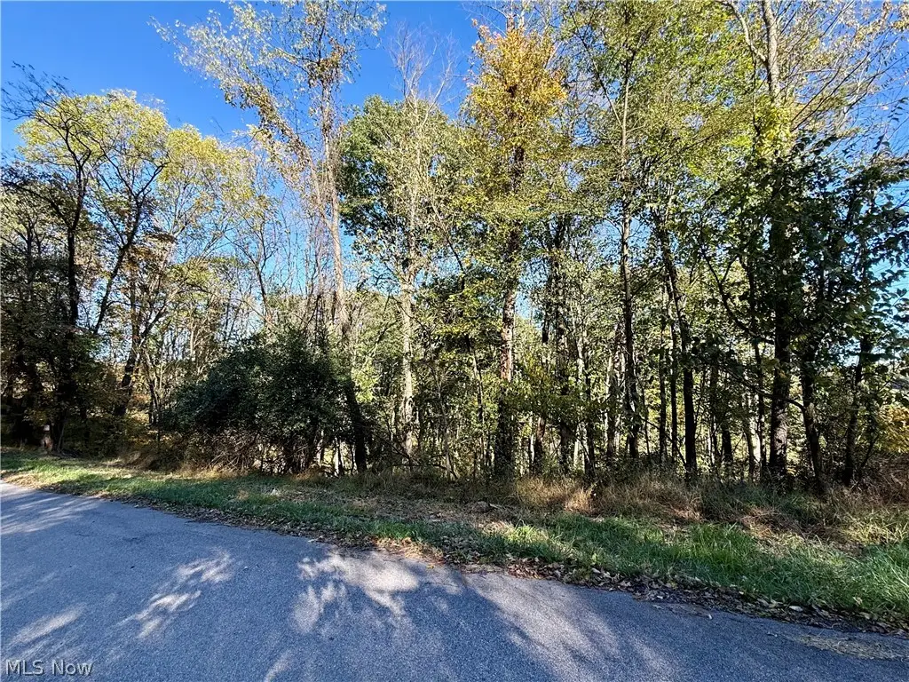 Glendale Road, Chester, WV 26034 - #1