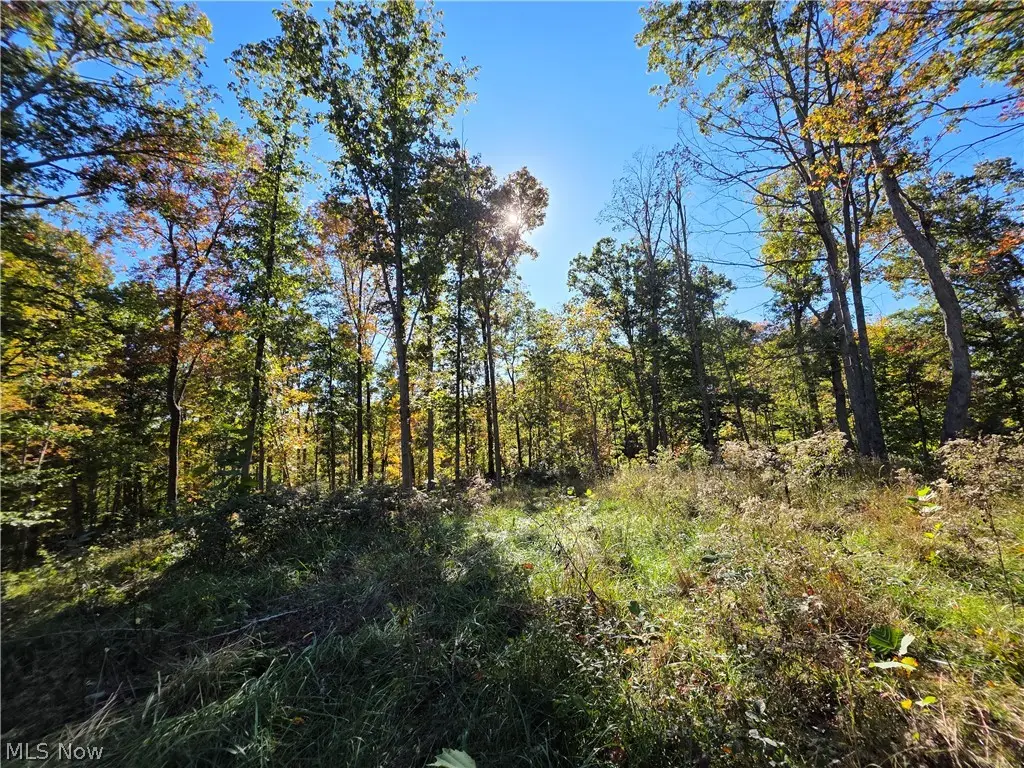 0 Emerson Avenue, Waverly, WV 26184 - #1