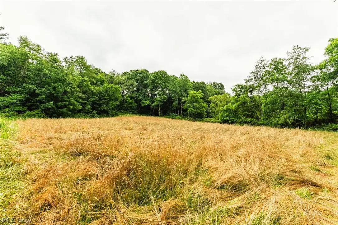 Long Road, Chandlersville, OH 43727 - #1