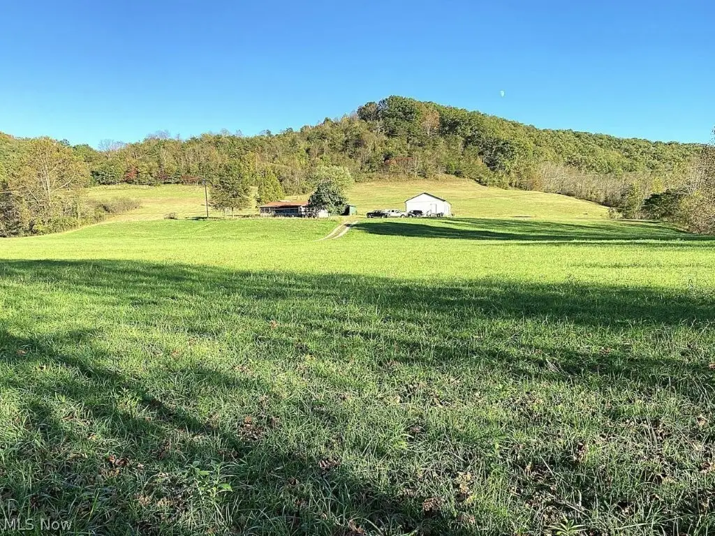 765 Middle Fork, Reedy, WV 25270 - #1