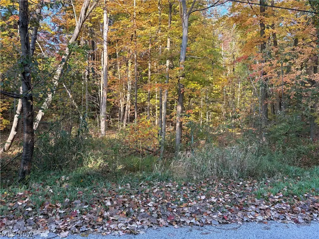 VL Glenstone Drive, Kirtland, OH 44094 - #1