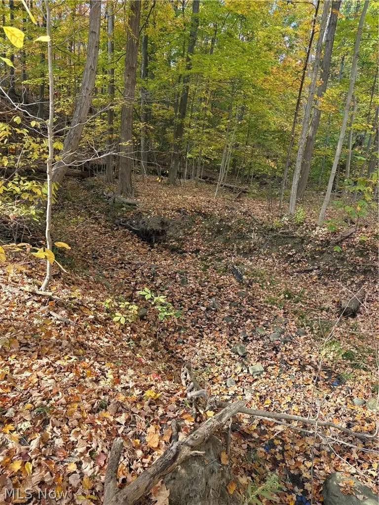 VL Glenstone Drive, Kirtland, OH 44094 - #3