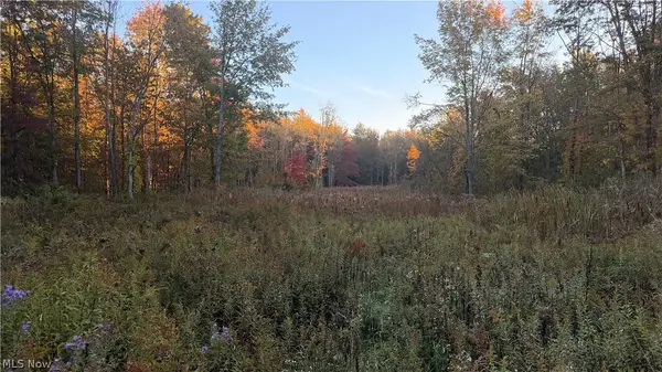 Munson Hill Road, Ashtabula, OH 44004