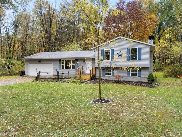 9812 Carters Ford Road, Deerfield, OH 44411