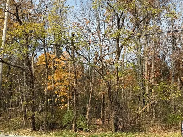 Butternut Road, Burton, OH 44021
