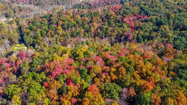 Van Crabtree Road, Lucasville, OH 45648