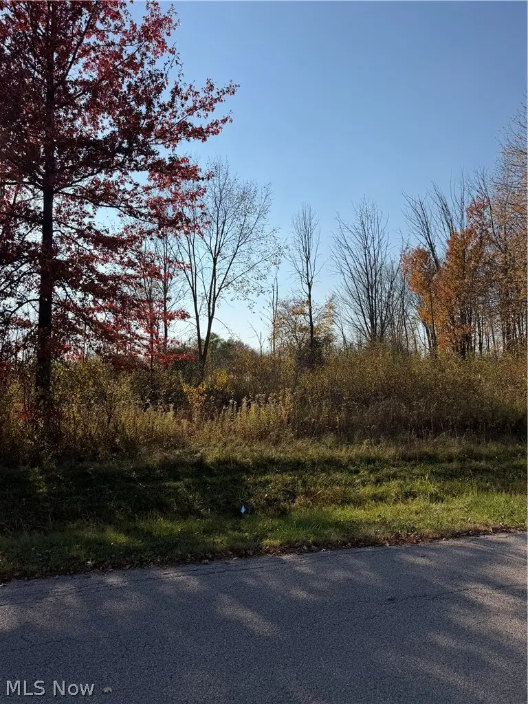 Florence Avenue, Ashtabula, OH 44004 - #3