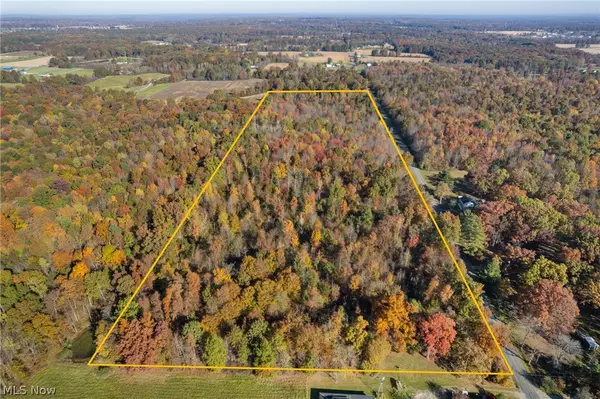 Wayland Road, Deerfield, OH 44411