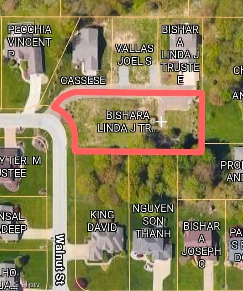 7889 Walnut Street, Youngstown, OH 44512 - #2