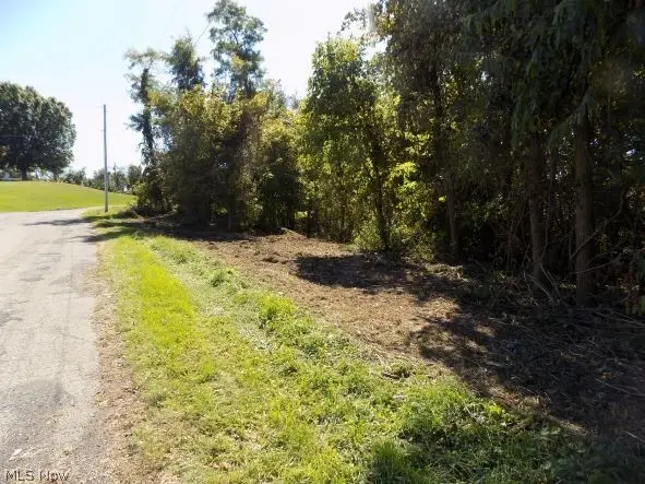 0 Maple Drive, Bridgeport, OH 43912