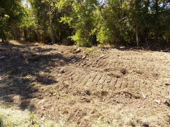 0 Maple Drive, Bridgeport, OH 43912 - Image #2