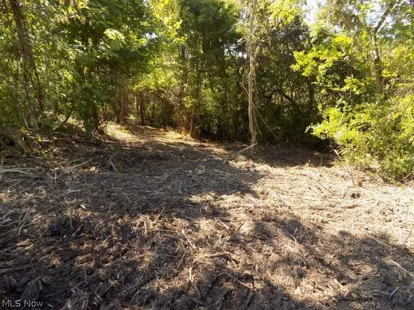 0 Maple Drive, Bridgeport, OH 43912 - Image #3