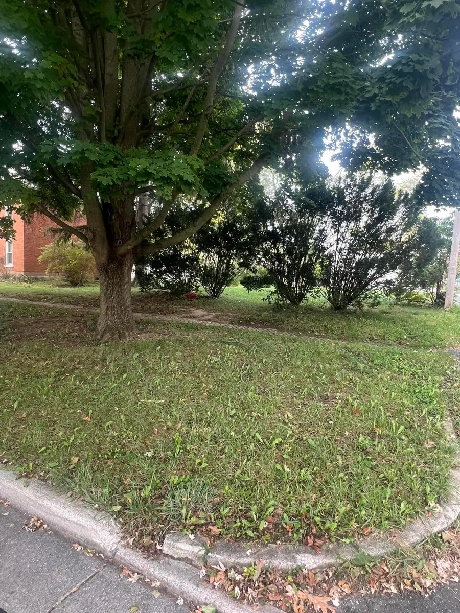 314 N 4th Street, Upper Sandusky, OH 43351 - Image #2