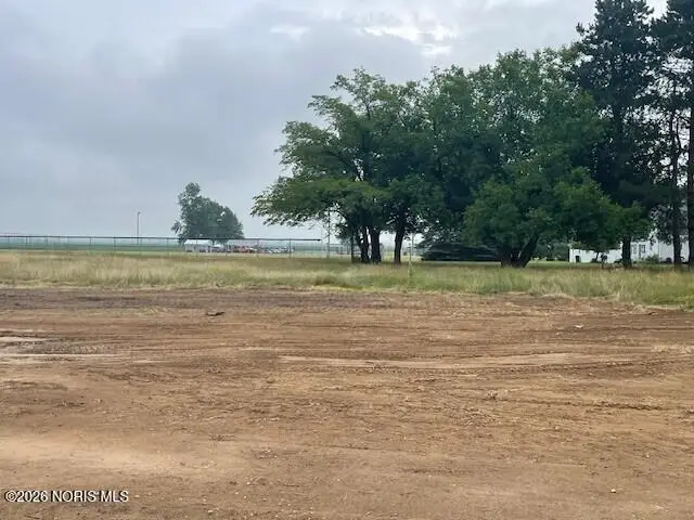 516 N Adrian Street, Lyons, OH 43533 - #1