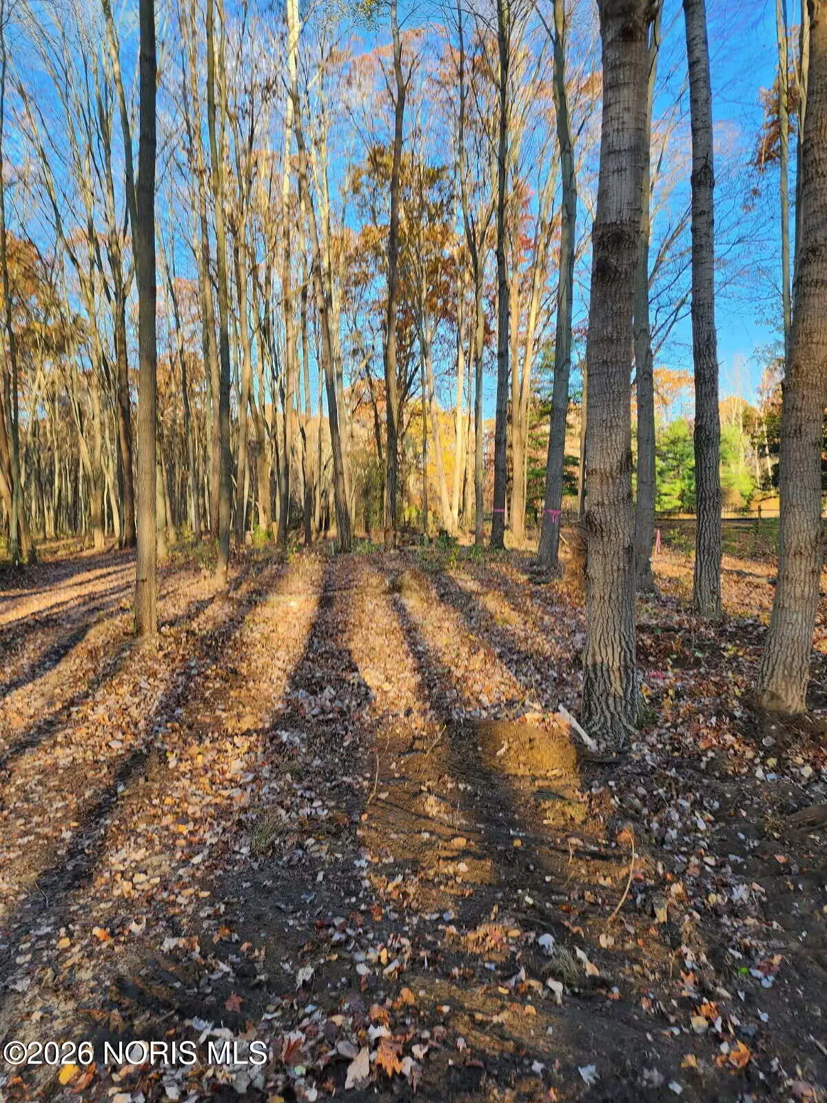 4660 S Berkey Southern Road, Swanton, OH 43558 - #1