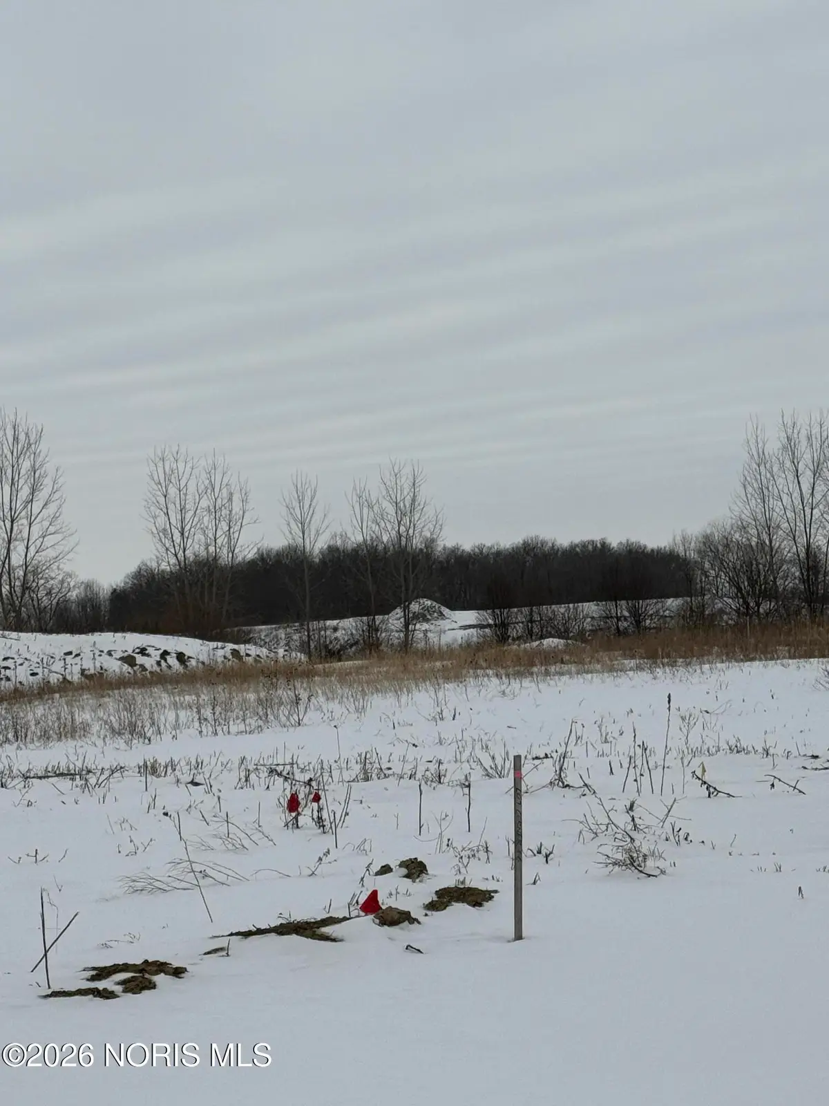 9252 Summer Song Lane, Sylvania, OH 43560 - #1