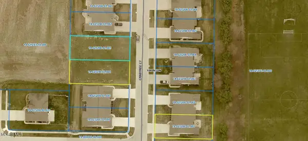 19 Crabtree Court, Swanton, OH 43558