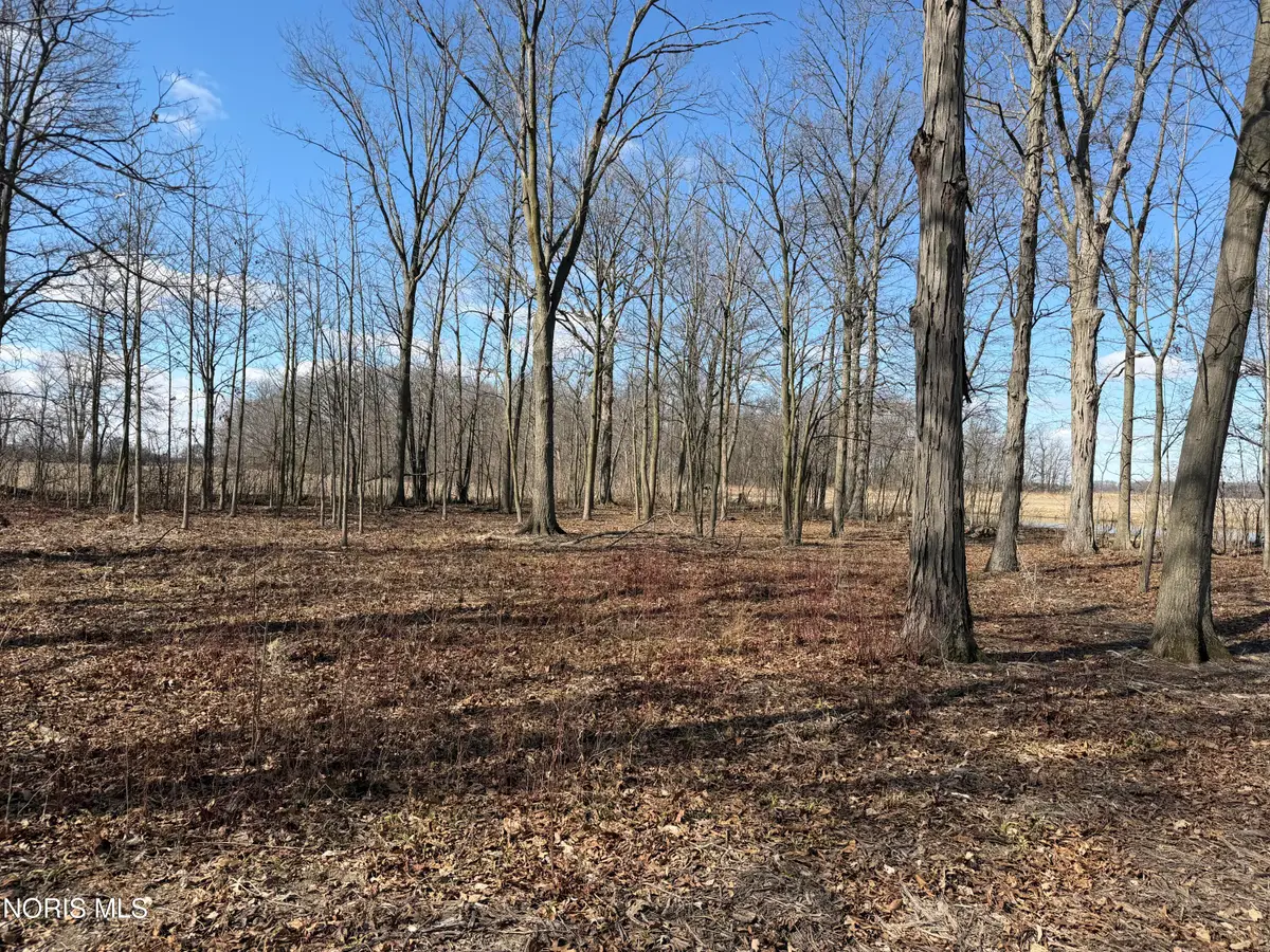 Elmwood Drive, Sherwood, OH 43556 - #1