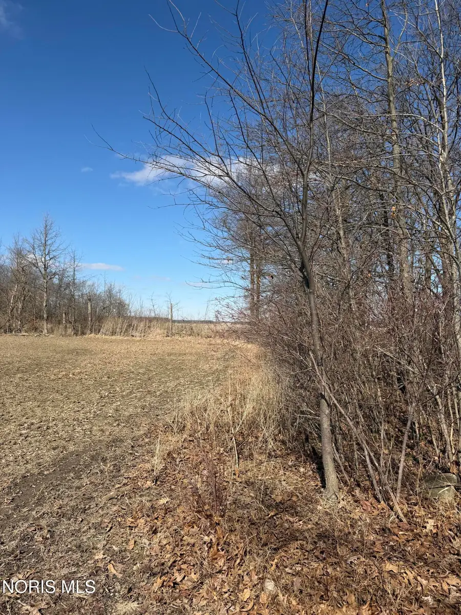 Elmwood Drive, Sherwood, OH 43556 - #3