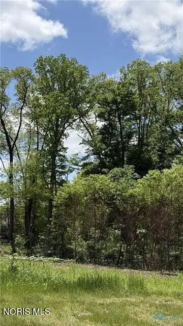 6007 Outpost Road, Sylvania, OH 43560 - #2