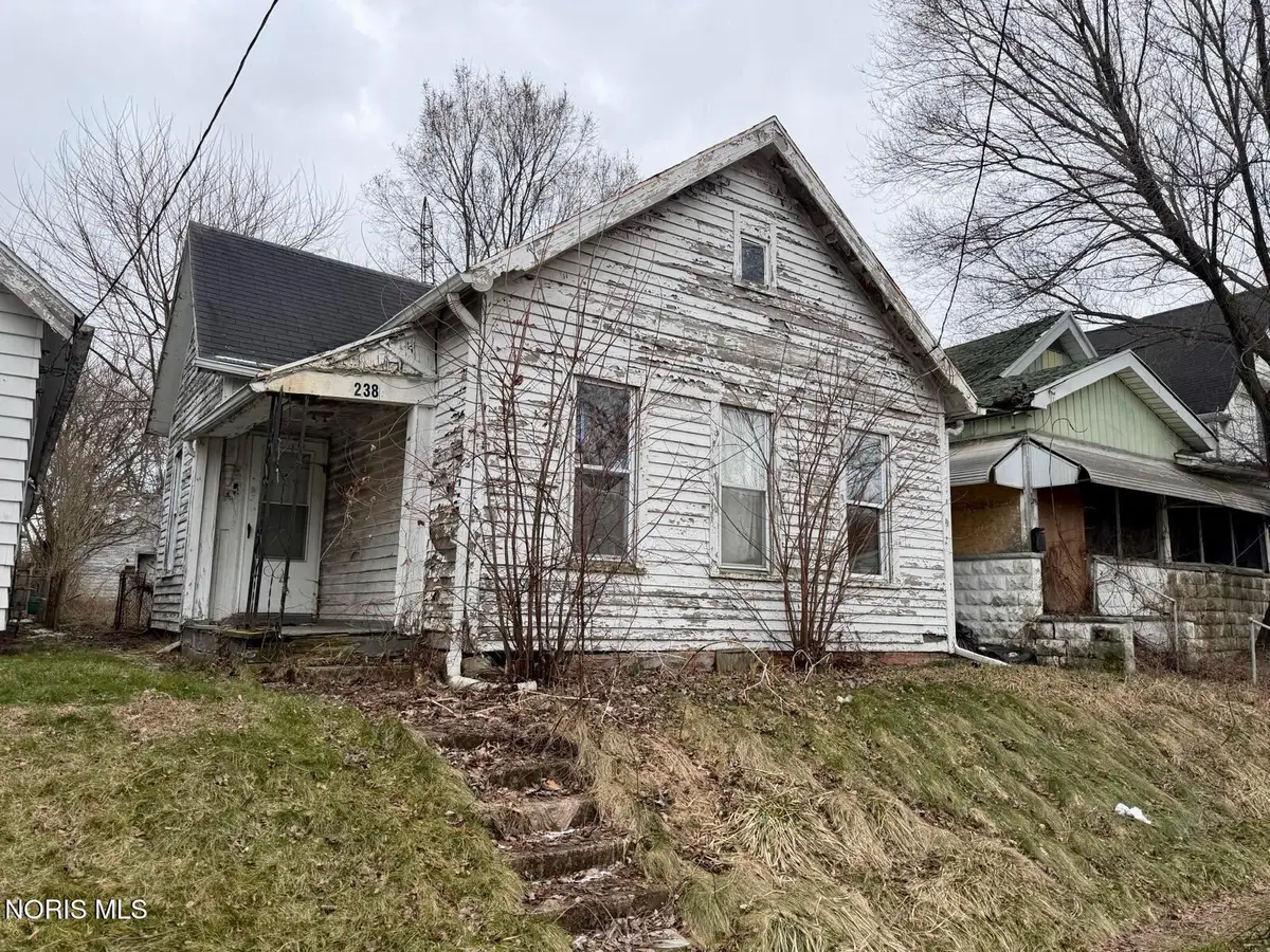 238 Palmer Street, Toledo, OH 43608 - #1