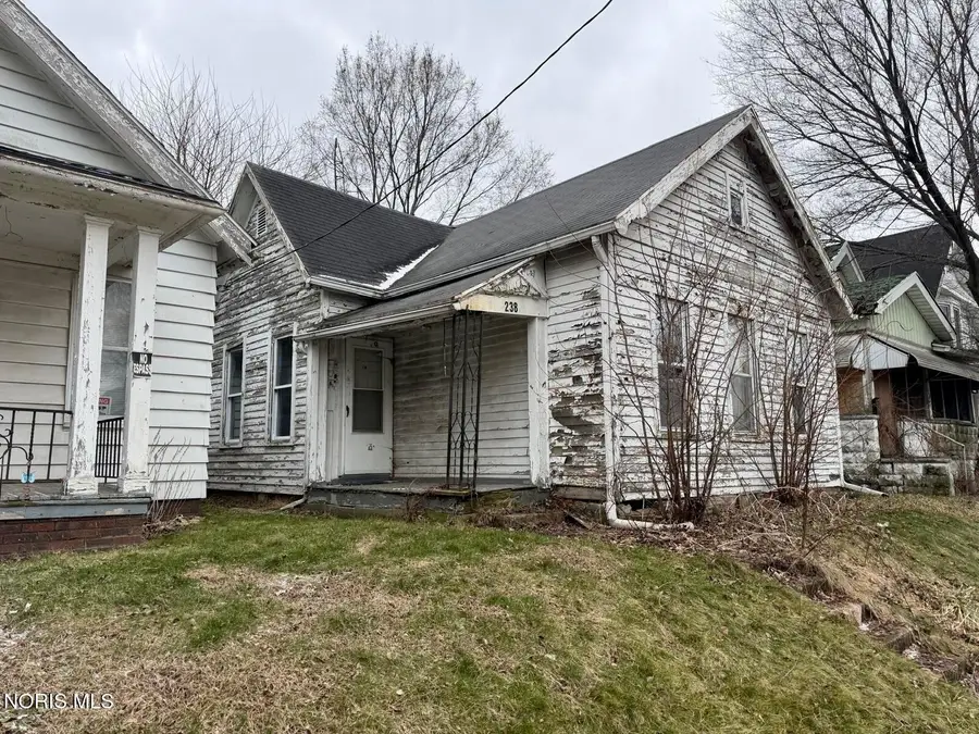 238 Palmer Street, Toledo, OH 43608 - #2