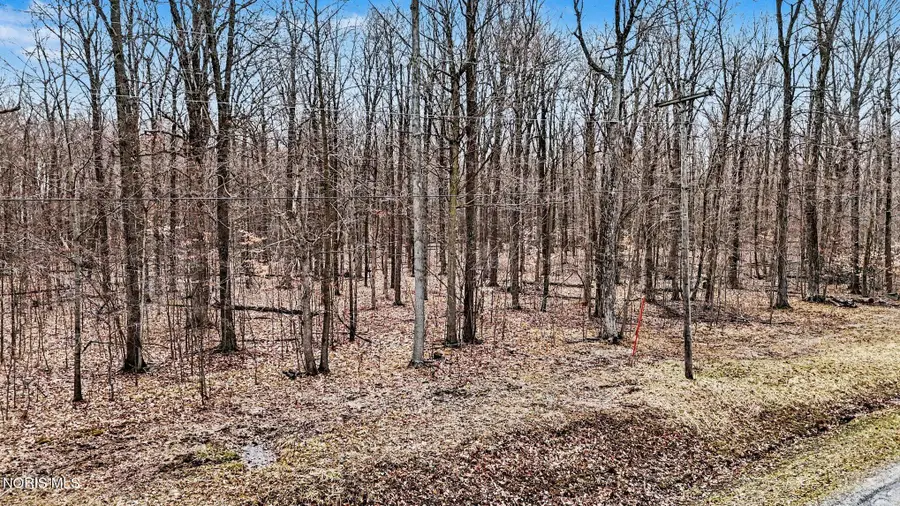 Seneca Drive, Montpelier, OH 43543 - #3