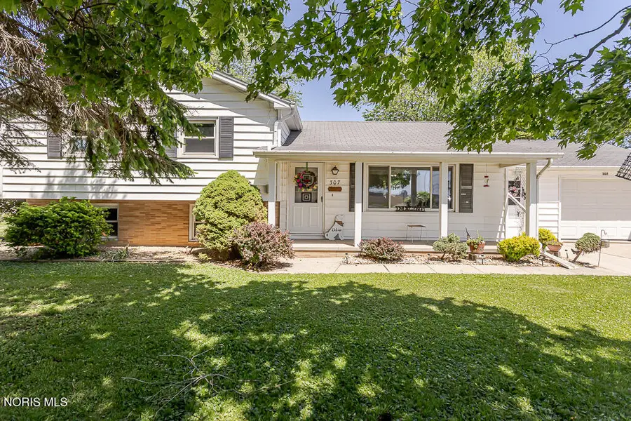 307 E Curtis Street, Stryker, OH 43557 - #2