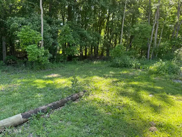 129 Sunset Boulevard, Montpelier, OH 43543