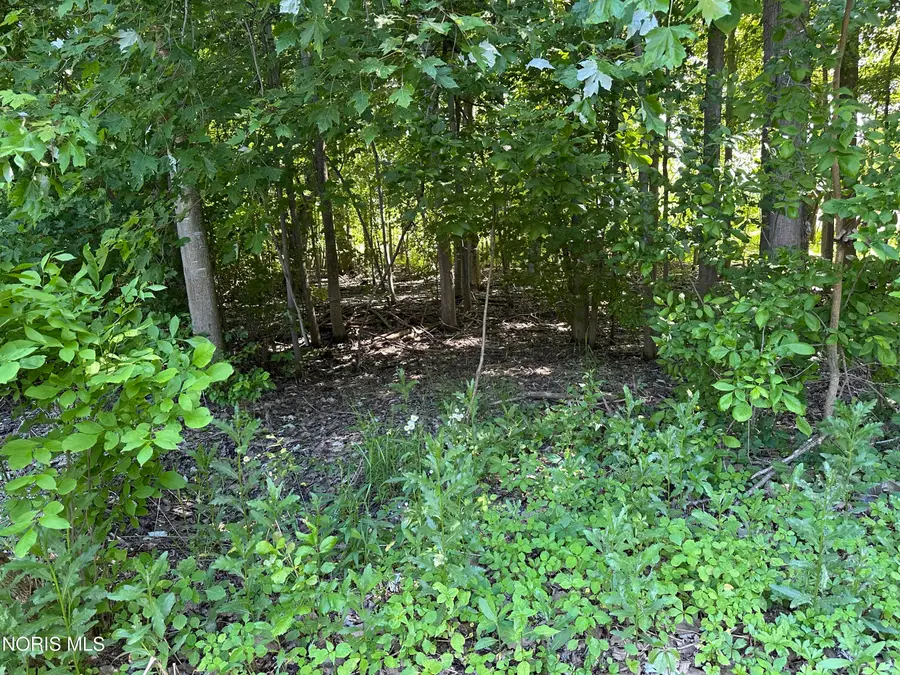 129 Sunset Boulevard, Montpelier, OH 43543 - #3