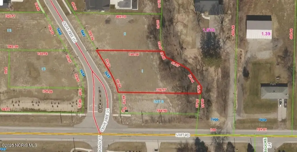 5655 Olive Tree Lane, Monclova, OH 43542 - #1