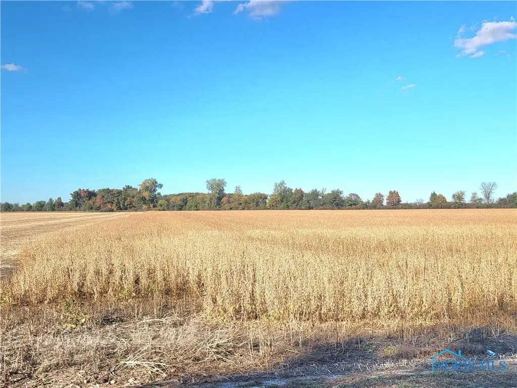 Track 1 W. Walbridge East Road, Martin, OH 43445 - Image #1