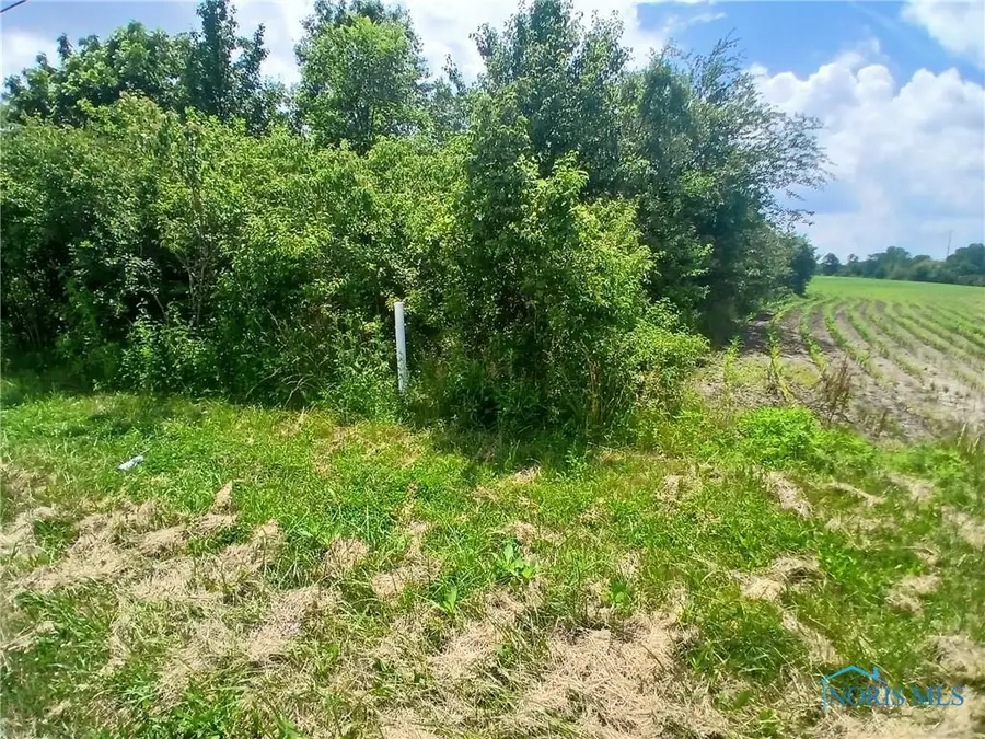 5218 Black Road, Waterville, OH 43566 - #3