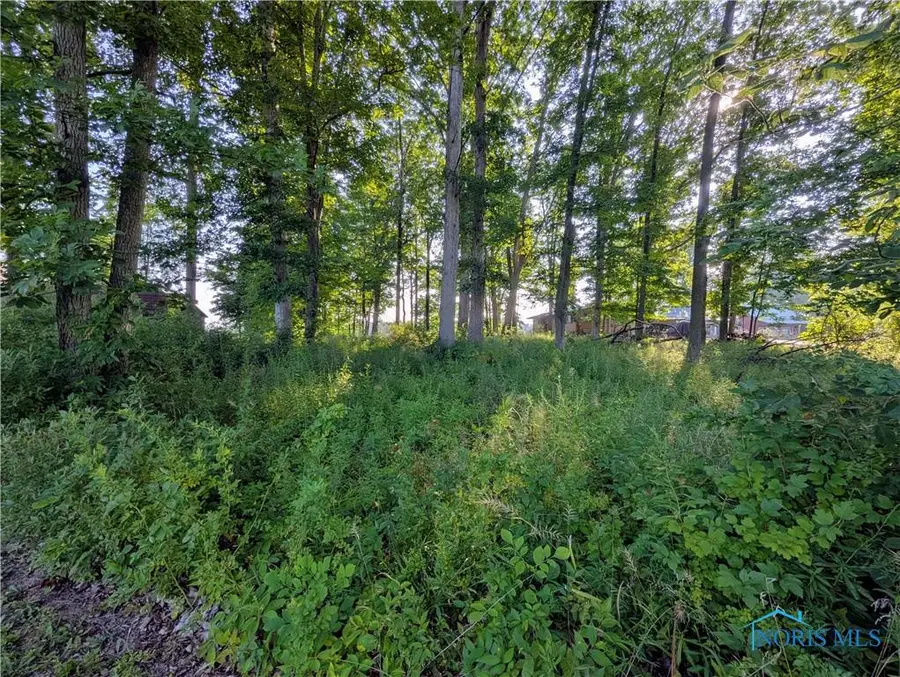 0 Seneca Drive, Montpelier, OH 43543 - Image #2