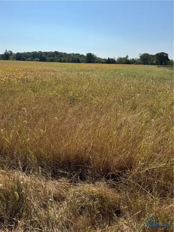 0 S Township Road 66, New Riegel, OH 44853 - Image #2