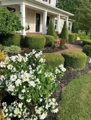 7422 Staeger Road, Celina, OH 45822 - Image #3